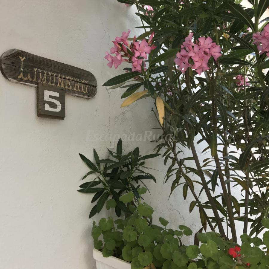 Finca La Vicacaria Limonero Zufre Ngoại thất bức ảnh